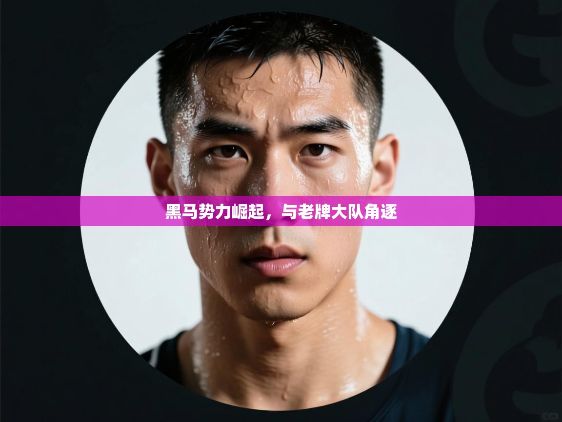 黑马势力崛起，与老牌大队角逐  第1张