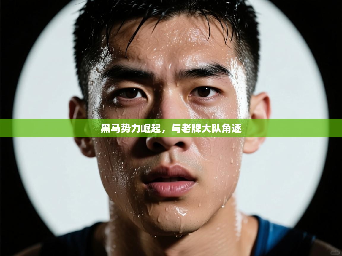 黑马势力崛起，与老牌大队角逐  第2张